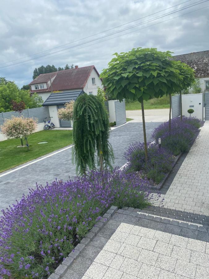 Sieburczynianka Villa Wizna Dış mekan fotoğraf